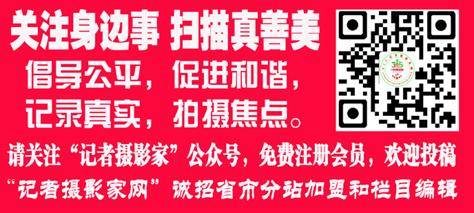 視覺中國(guó)版權(quán)事件或構(gòu)成商業(yè)欺詐 專家建議處罰至痛