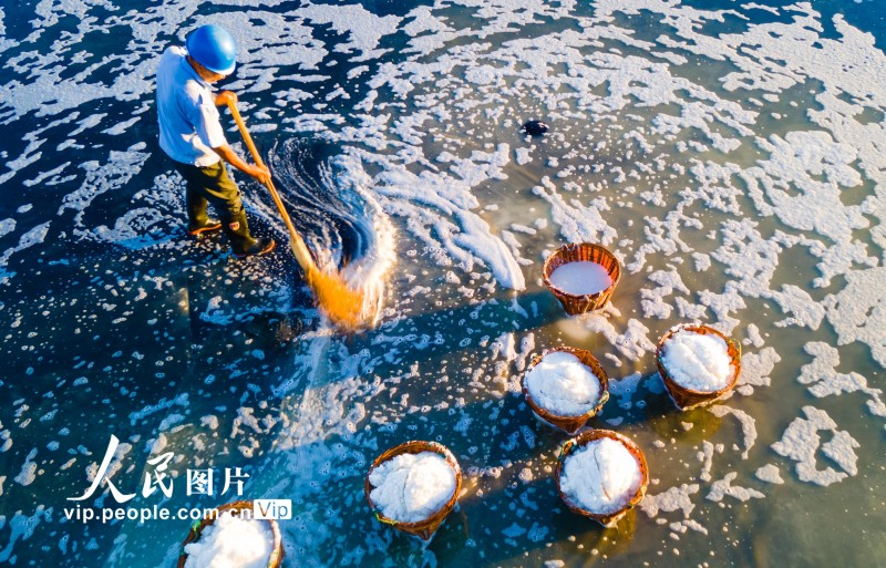 浙江寧波：古法曬鹽忙