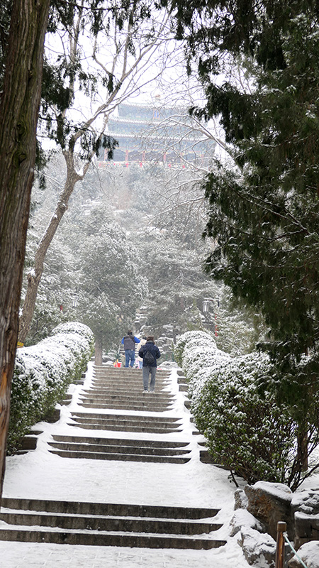 雪中景山公園、故宮