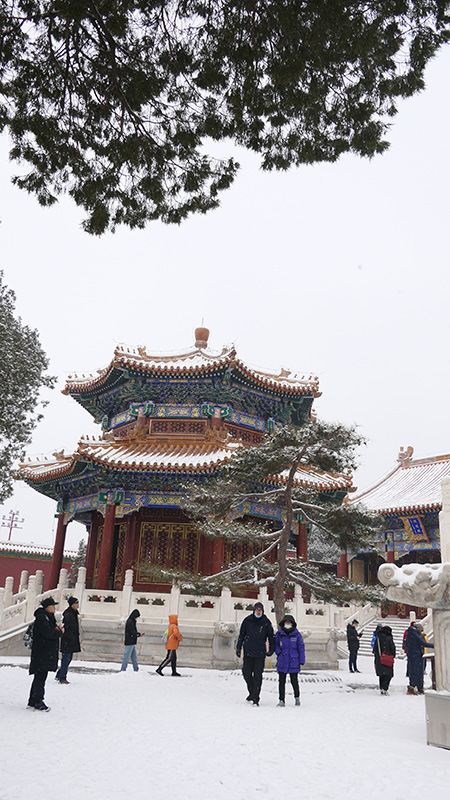 雪中景山公園、故宮