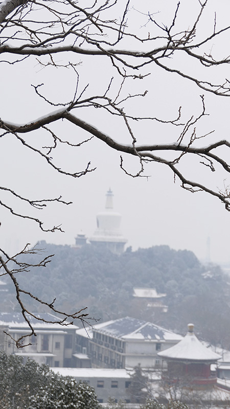 雪中景山公園、故宮