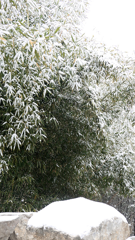 雪中景山公園、故宮