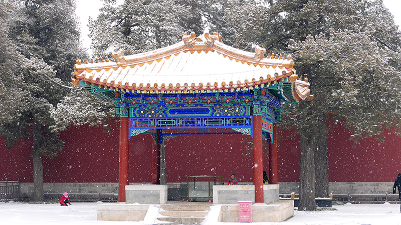 雪中景山公園、故宮——李月攝影