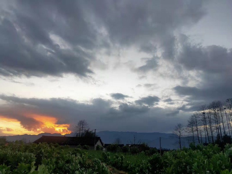 路過(guò)風(fēng)景——沉沙