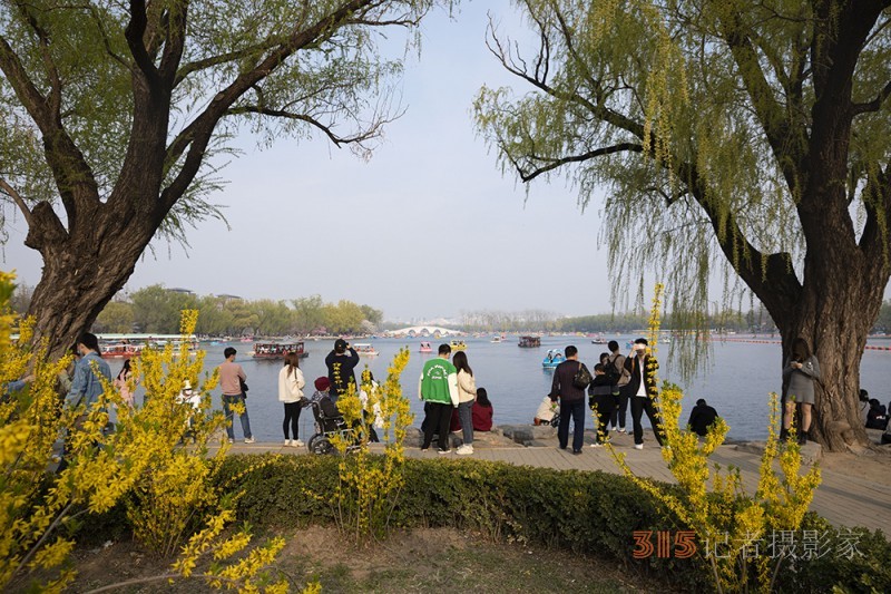 張建華攝影——花開玉淵潭 游人如織來