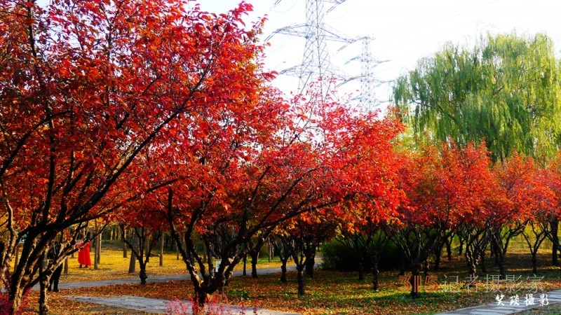 詩(shī)畫(huà)攝影：癸卯重陽(yáng)日公園感懷