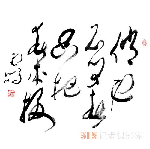 光耀華夏：王云鵬“鵬體草書”迎新春網(wǎng)絡(luò)作品展