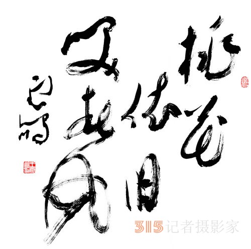 光耀華夏：王云鵬“鵬體草書”迎新春網(wǎng)絡(luò)作品展