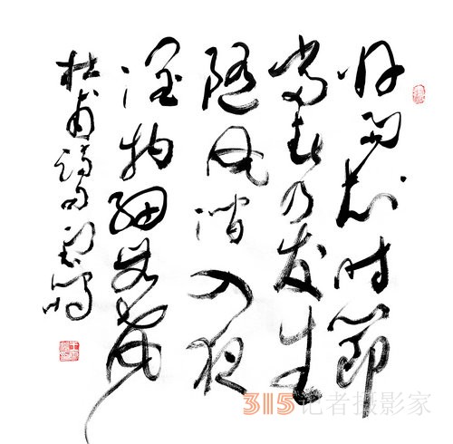 光耀華夏：王云鵬“鵬體草書”迎新春網(wǎng)絡(luò)作品展