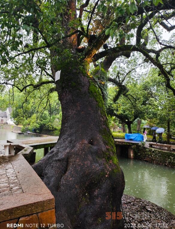 雨潤(rùn)麗水街