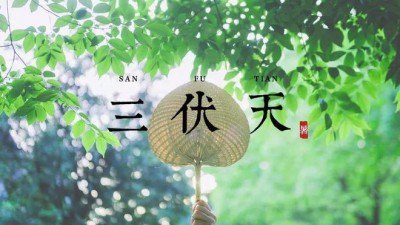 “三伏”與“三暑”是一回事嗎