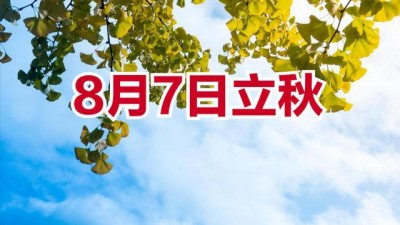 立秋：涼風(fēng)有信，滋陰潤(rùn)燥