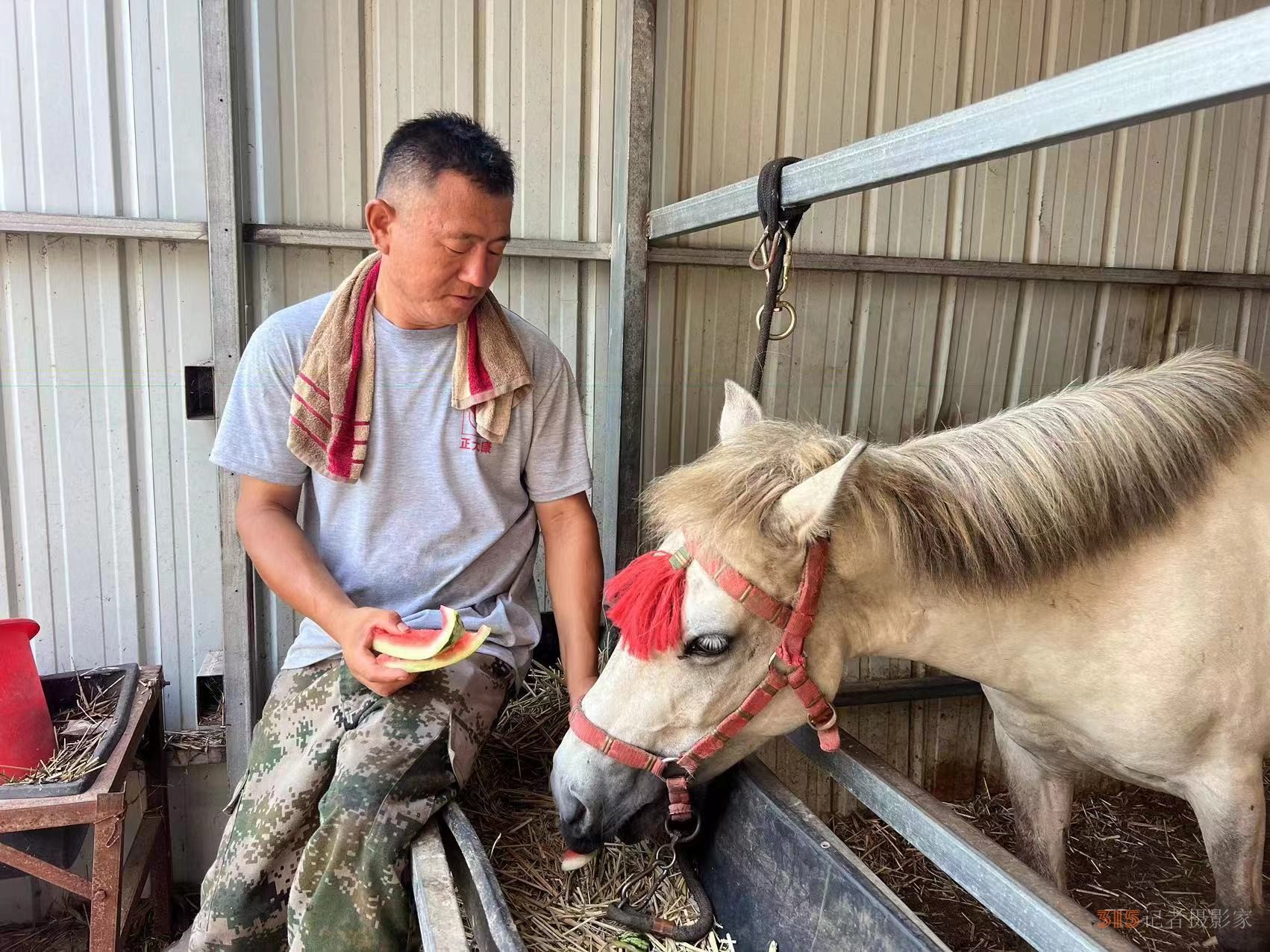 跨界養(yǎng)馬，勤勞致富助力公益救援