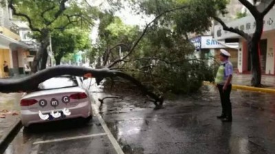 車輛因臺風受損可以要求理賠嗎？什么情況會拒賠？