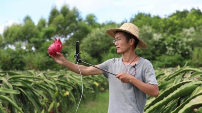 87.2%受訪青年期待“新農人”成為鄉(xiāng)村振興的青春力量